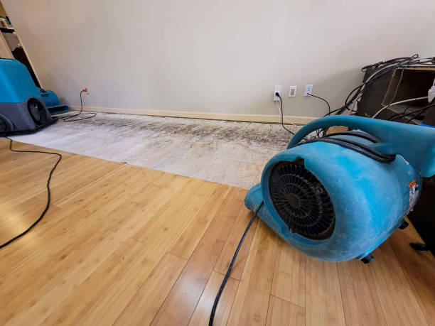 Professional Structural Drying technician working in Waverly, MI